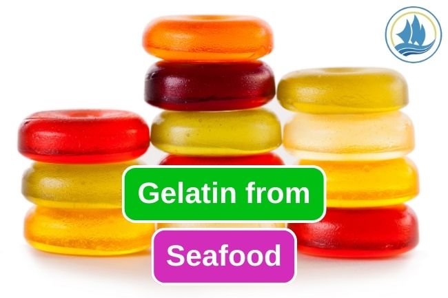 This Is What Seafood Gelatin Made Of